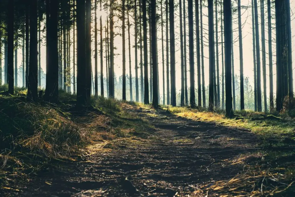 Uilenspiegelpad, wandeling in Belgie