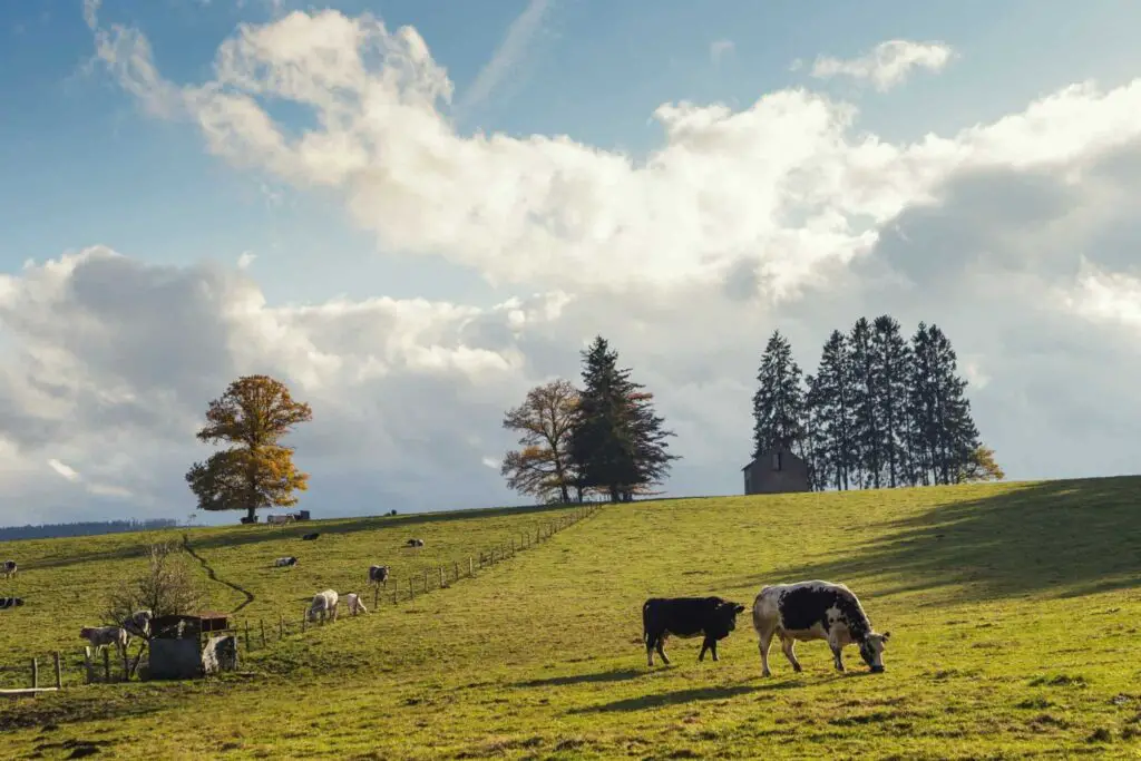 Belgische Ardennen wandelroute