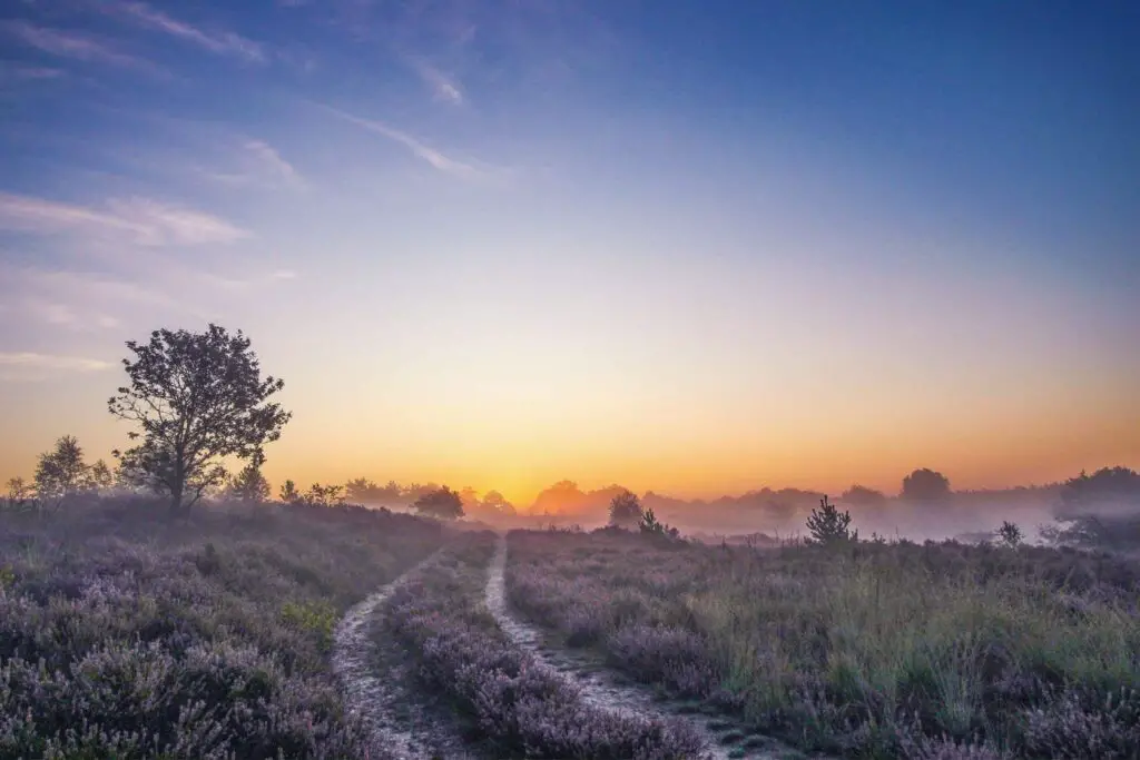 Kempen Maaspad, Wandelen in België
