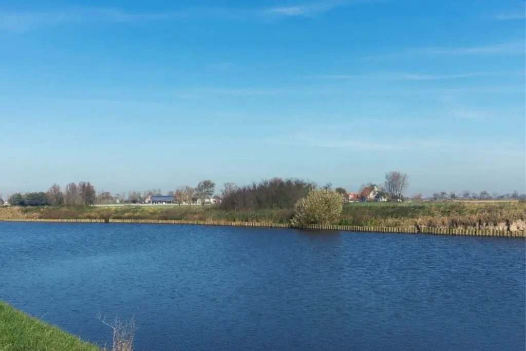 Wadenling aan de rivier IJzer in Belgie