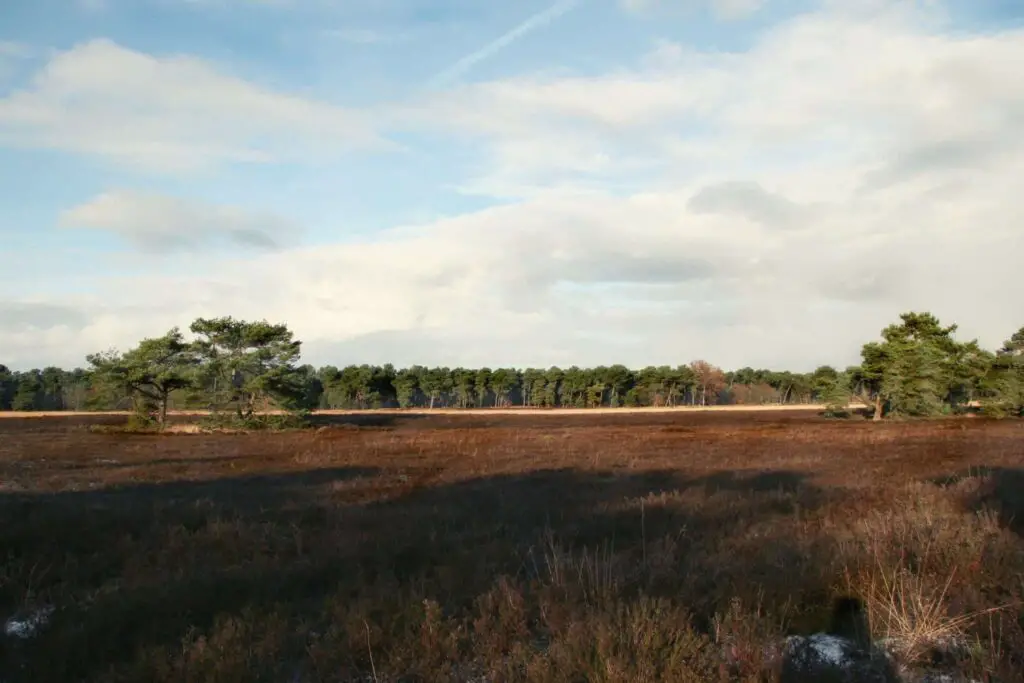 Wandelen in het Grensgebied van Belgie en Nederland