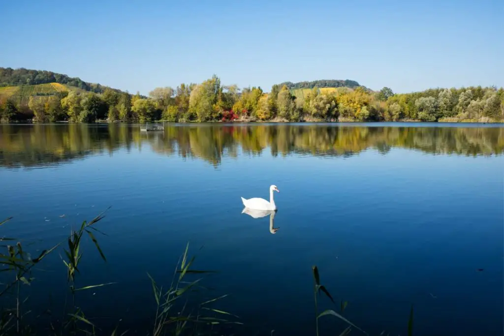 te doen in Luxemburg park haff reimech