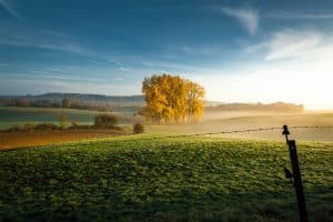 Reisbloggers gezocht! 81 Wandelen in Belgie, verschillende wandelroutes en tips
