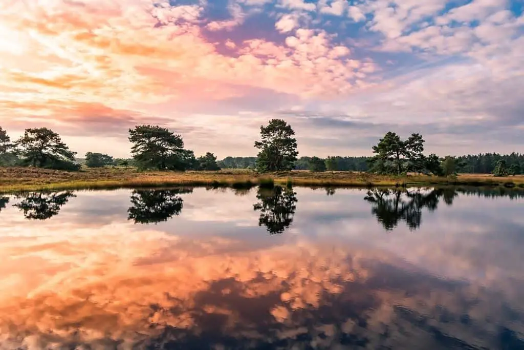 Kamperen op de Veluwe? 13 bezienswaardigheden op een rij! 1 Kamperen op de veluwe