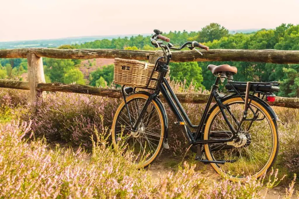 Kamperen op de Veluwe? 13 bezienswaardigheden op een rij! 4 Nationaal park veluwezoom