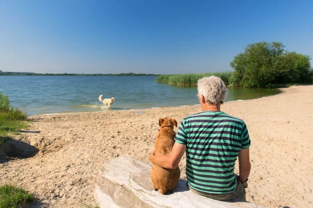 Kamperen op de Veluwe? 13 bezienswaardigheden op een rij! 5 Veluwemeer