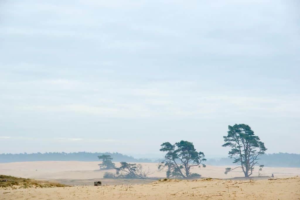 Kamperen op de Veluwe? 13 bezienswaardigheden op een rij! 7 Ginkelse heide