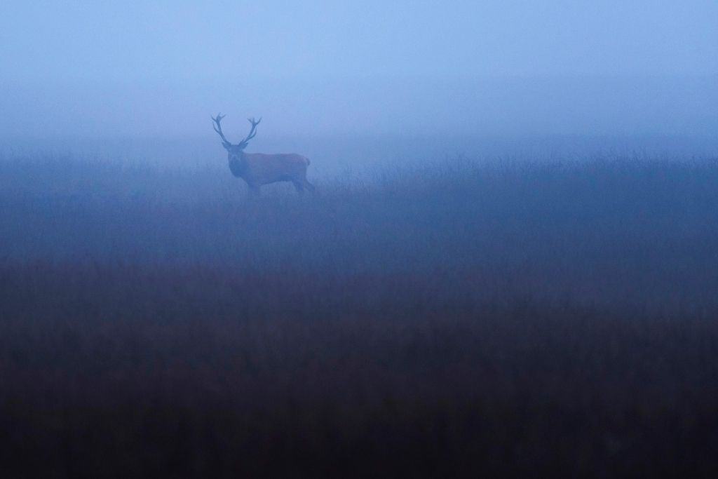 Kamperen op de Veluwe? 13 bezienswaardigheden op een rij! 9 kruller muller museum