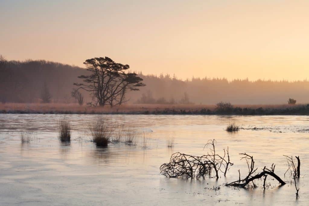 Kamperen op de Veluwe? 13 bezienswaardigheden op een rij! 11 kootwijkerzand bezienswaardigheid op de veluwe