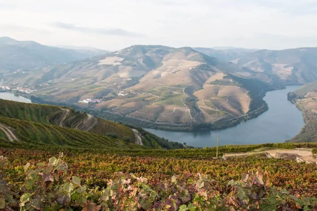 De 17 mooiste plekken van Portugal voor jou op een rijtje gezet! 15 De douro vallei mag je niet overslaan tijdens je rondreis door portugal