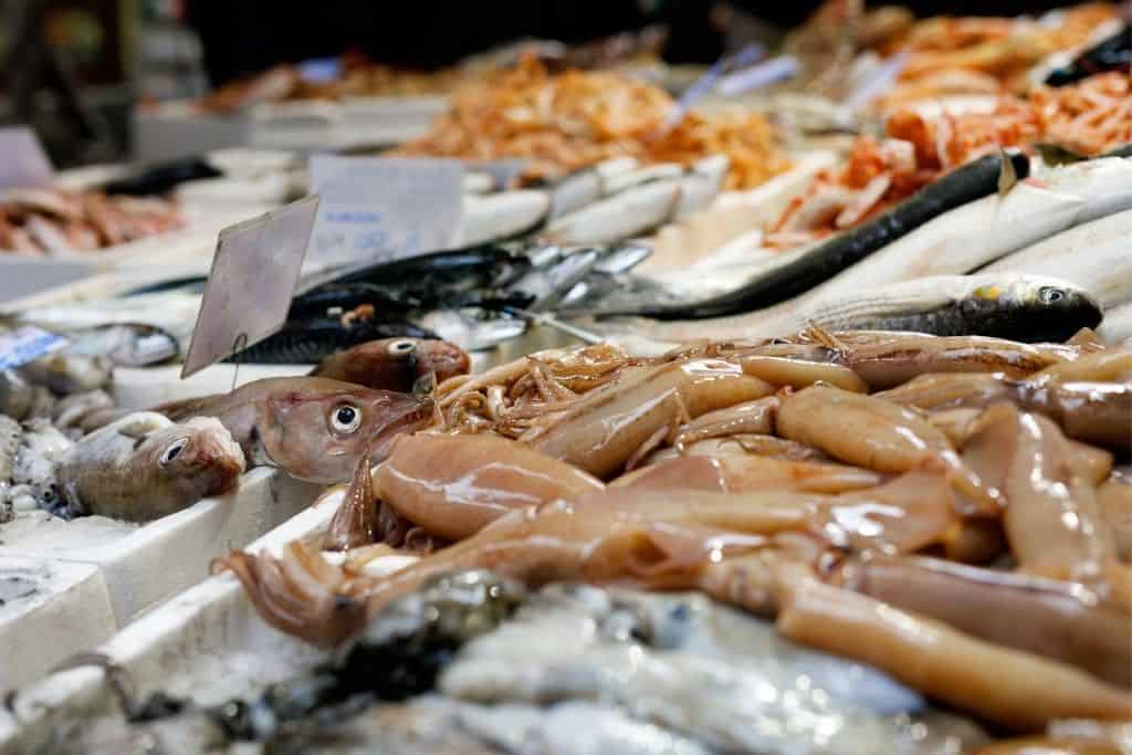 De beste bezienswaardigheden Bologna, Italië! 10 Quadrilatero bezienswaardigheid bologna