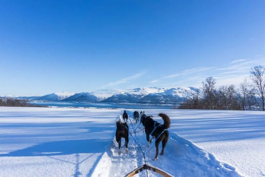 Tromso- het Noorse Noorderlicht stadje 5 paktips tromso