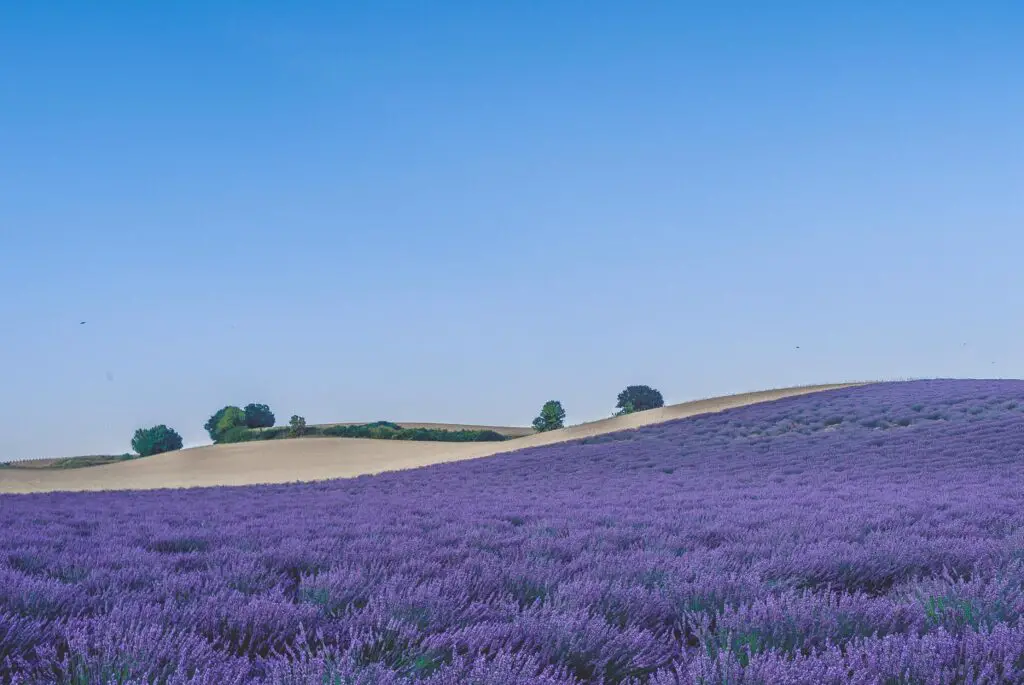De 17 mooiste bestemmingen van Europa 2022! 9 Provence, Frankrijk