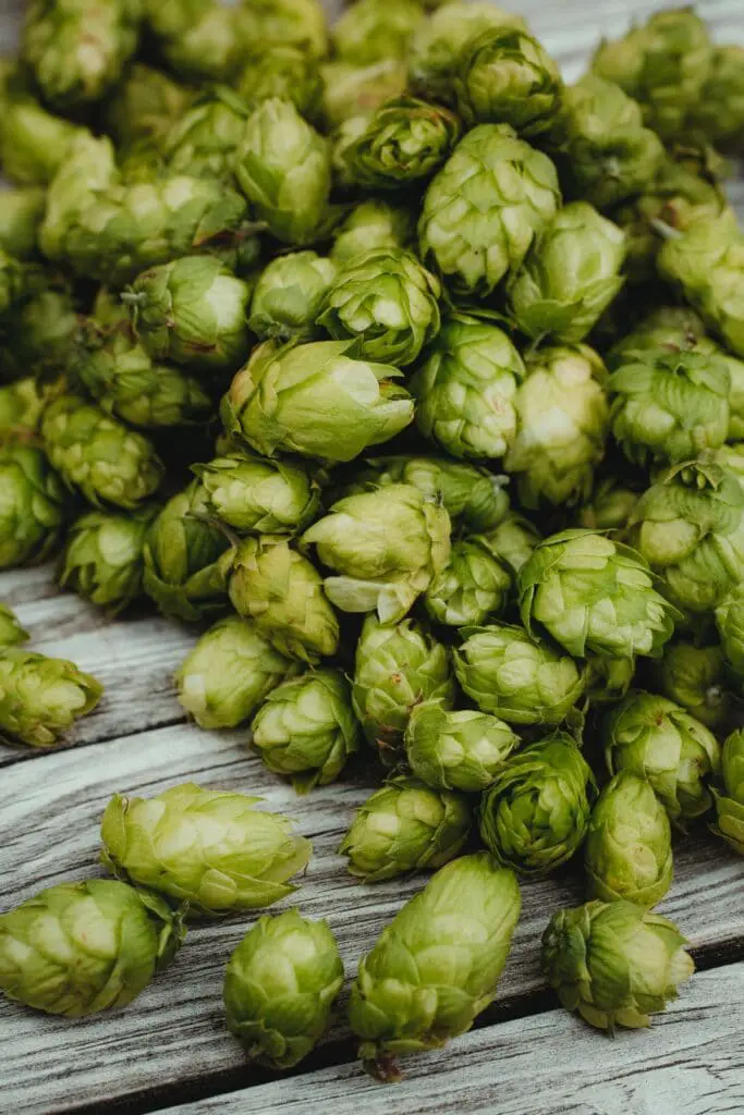 De 13 beste bezienswaardigheden in Brugge 15 Bezoek de brouwerij de halve maan in Brugge