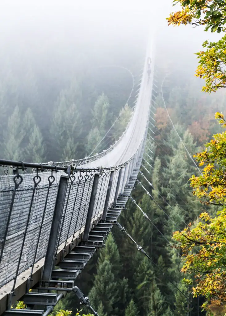Vakantie Rijnland-Palts (Duitsland): tips & bezienswaardigheden 15 Hangbrug Geierlay