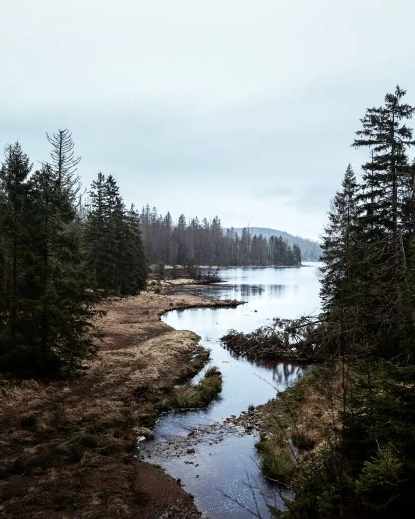 Mooie plaatsen in de Harz: tips voor het Harz gebergte 6 toeristische bezienswaardigheden harz
