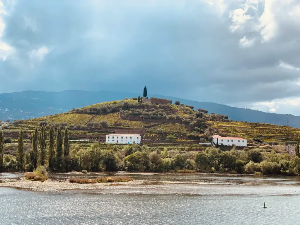 Geniet van het prachtige landschap en heerlijke wijnen in de Douro vallei 8 Peso da Régua