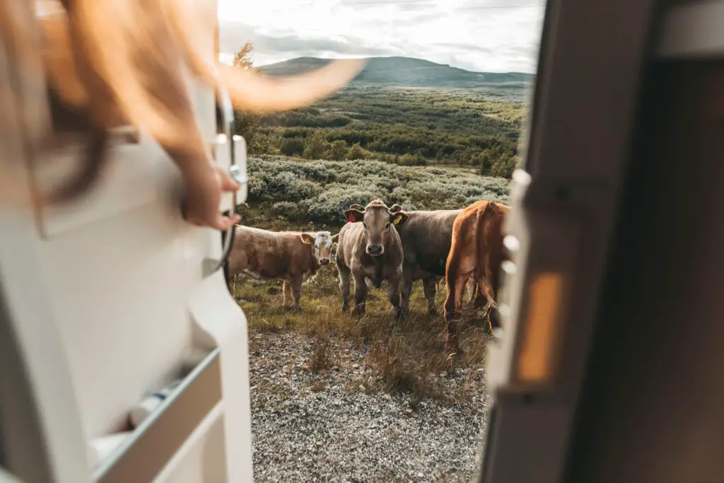 Camper huren in Noorwegen - tips! 4 camperhuur noorwegen