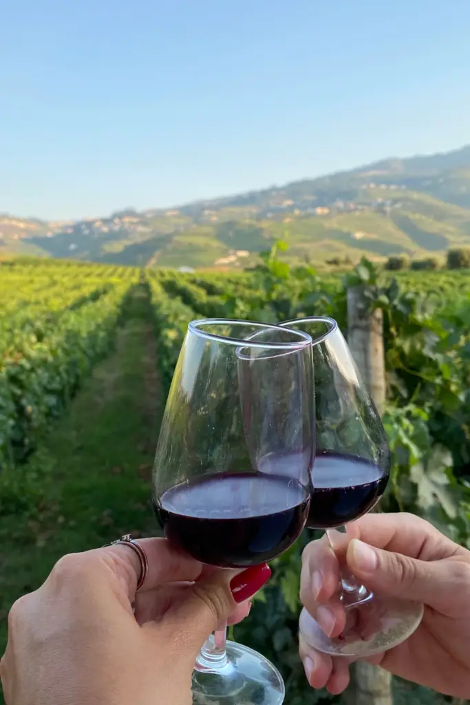 Geniet van het prachtige landschap en heerlijke wijnen in de Douro vallei 6 douro vallei autoroute