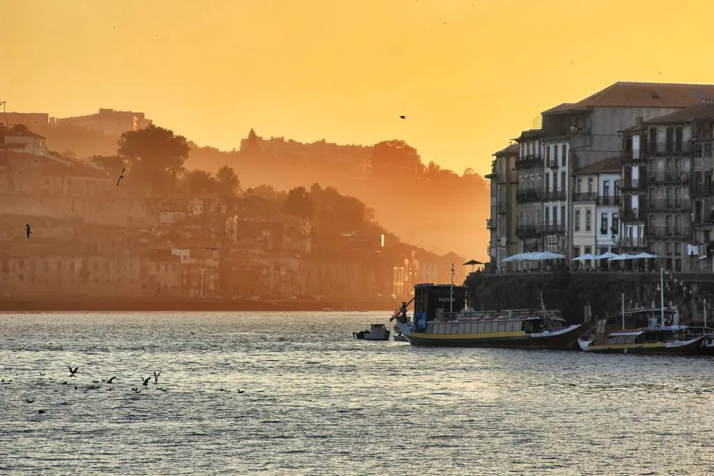 Geniet van het prachtige landschap en heerlijke wijnen in de Douro vallei 16 douro vallei bezoeken vanuit porto