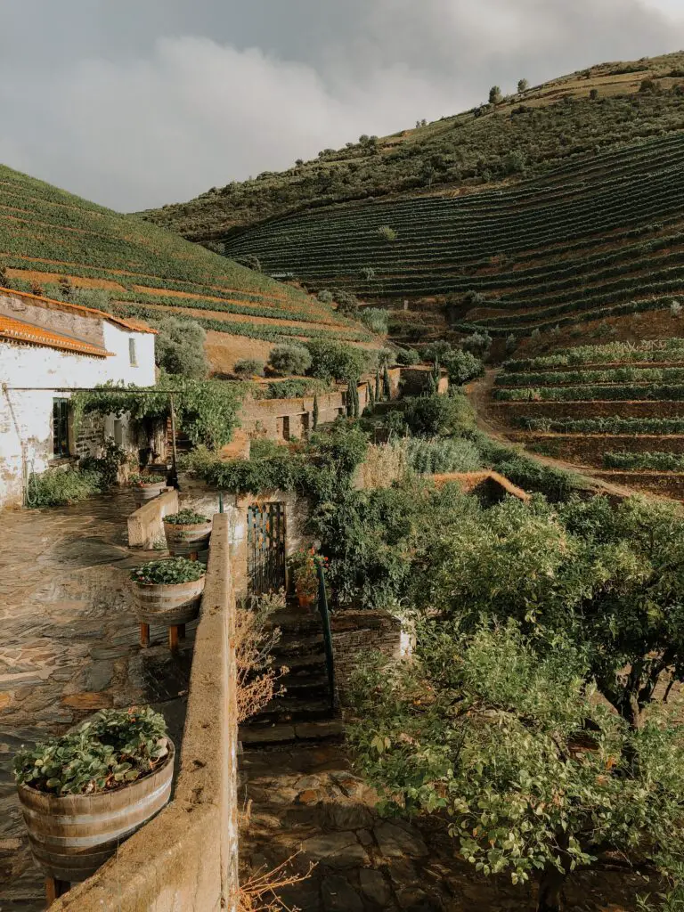 Geniet van het prachtige landschap en heerlijke wijnen in de Douro vallei 22 fietsen douro vallei