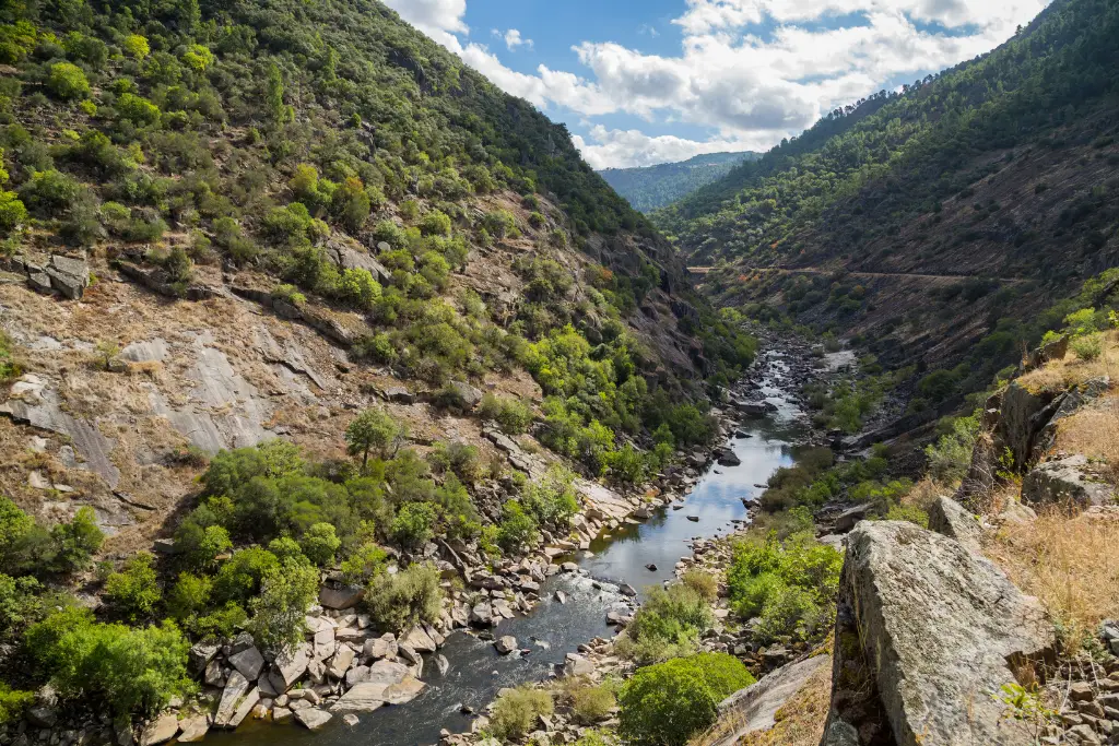 Geniet van het prachtige landschap en heerlijke wijnen in de Douro vallei 14 tua